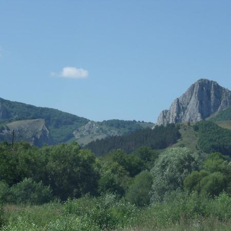 Studiouri Valisoara 外观 照片